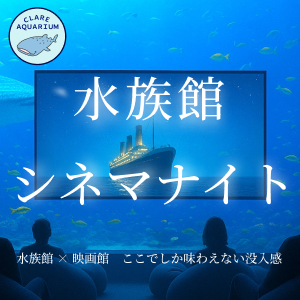 水族館シネマナイト