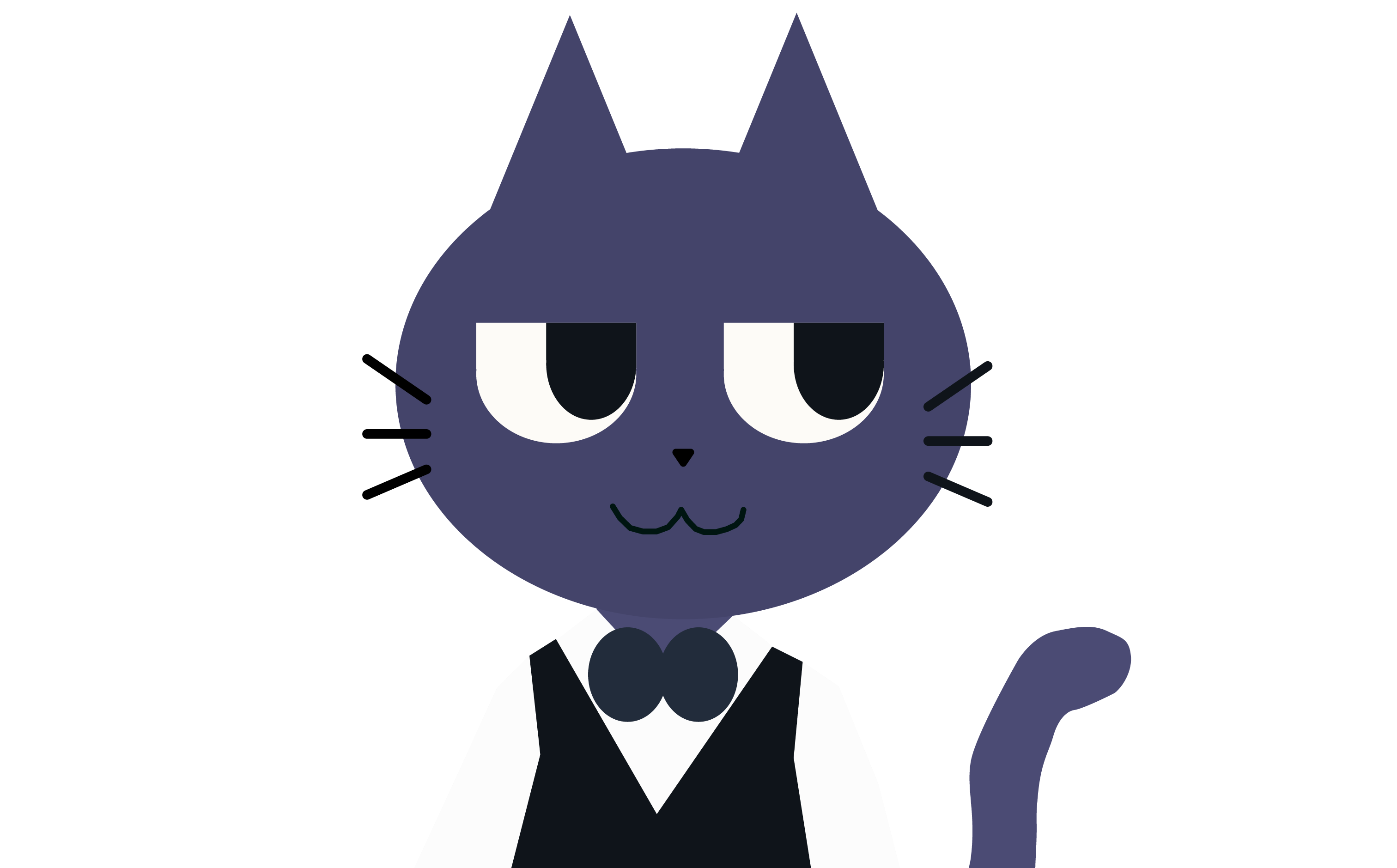 猫のマスター