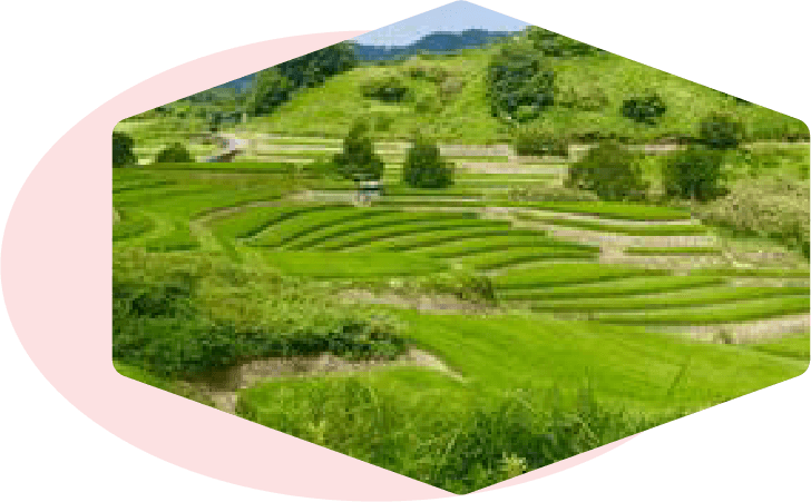 下赤坂の棚田